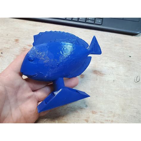 fish hexa|FishofHex .